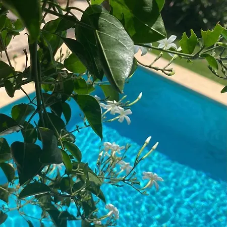 Beautiful With Pool, Barbecue, And Garden Villa