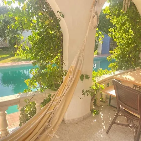 Beautiful With Pool, Barbecue, And Garden *